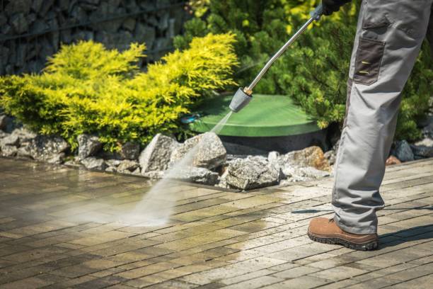Best Spring Cleaning  in South Plainfield, NJ